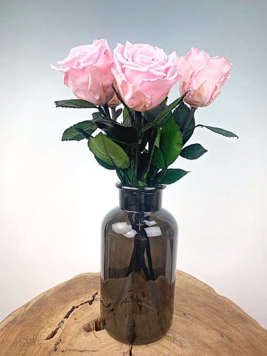 Longlife Rozenbos (5 stuks) roze incl. zwarte melkbus | Uniek en Prachtig Valentijnscadeau