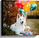WallClassics - Canvas - Liggende Hond met Bal en Ballonnen - 40x40 cm Foto op Canvas Schilderij (Wanddecoratie op Canvas)