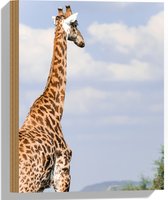 Hout - Achteraanzicht van Giraffe - 30x40 cm - 9 mm dik - Foto op Hout (Met Ophangsysteem)