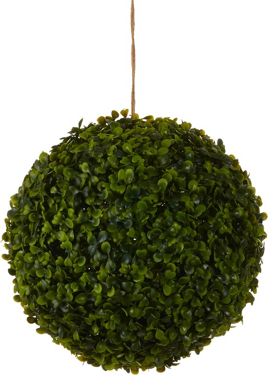 Groene buxusbol, hangend aan touw, tegen zwarte achtergrond.