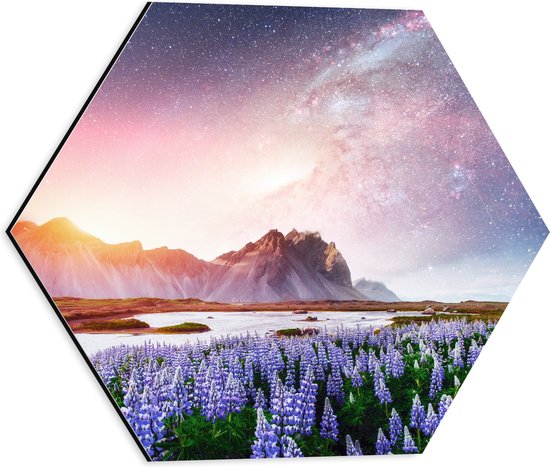 Dibond Hexagon - Lavendelveld in Landschap met Bergen onder Sterrenhemel - 40x34.8 cm Foto op Hexagon (Met Ophangsysteem)