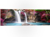 PVC Schuimplaat- Groepje Stenen in het Water bij Waterval met Rode en Roze Planten - 90x30 cm Foto op PVC Schuimplaat