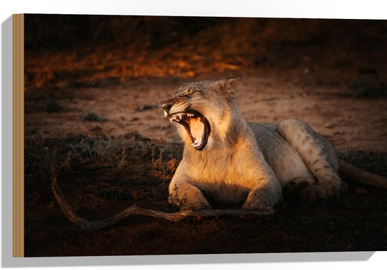 Hout - Gapende Vrouwtjes leeuw bij Takken - 60x40 cm - 9 mm dik - Foto op Hout (Met Ophangsysteem)
