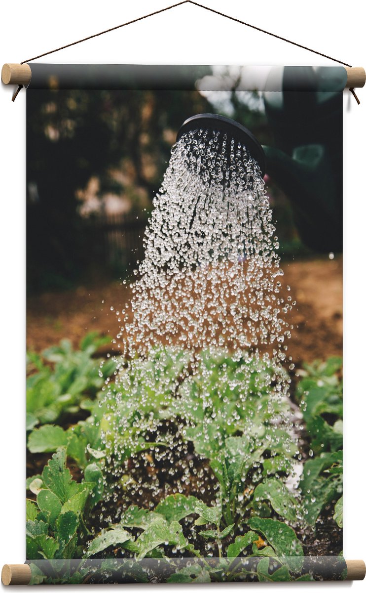 Textielposter - Planten Water Geven met Gieter - 40x60 cm Foto op Textiel