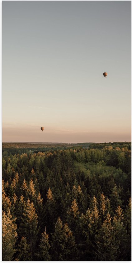 Poster Glanzend – Luchtballonnen boven de Bossen - 50x100 cm Foto op Posterpapier met Glanzende Afwerking