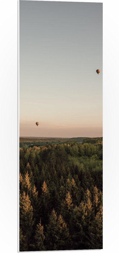 PVC Schuimplaat - Luchtballonnen boven de Bossen - 30x90 cm Foto op PVC Schuimplaat (Met Ophangsysteem)