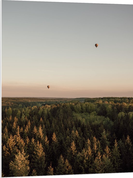 PVC Schuimplaat- Luchtballonnen boven de Bossen - 75x100 cm Foto op PVC Schuimplaat