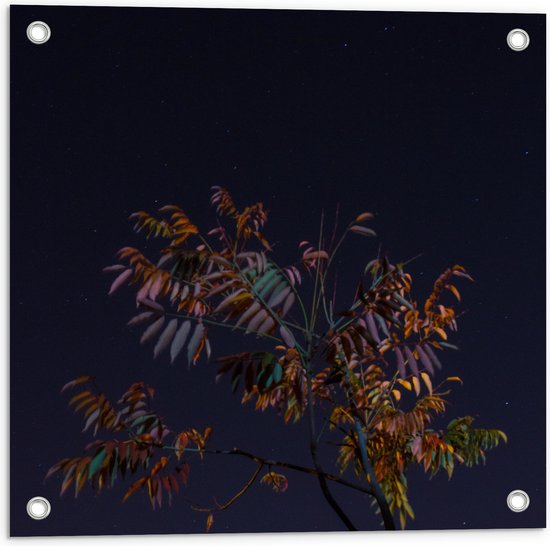 Tuinposter – Tak met Bladeren in Nacht - 50x50 cm Foto op Tuinposter (wanddecoratie voor buiten en binnen)