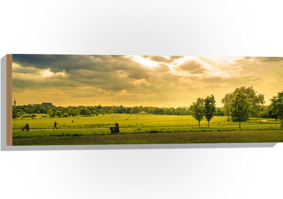 Hout - Groene Platteland - 90x30 cm - 9 mm dik - Foto op Hout (Met Ophangsysteem)