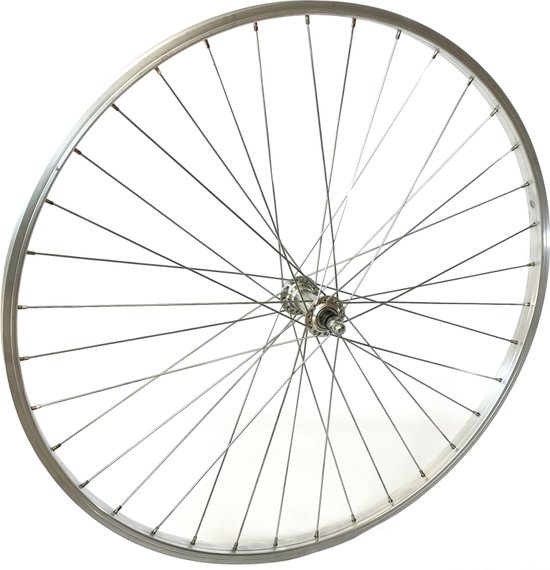 Voorwiel Fiets 28 Inch Vaste As - Alu Velg Zilver Mach1 110 - Fiets