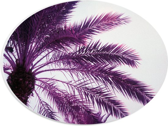 PVC Schuimplaat Ovaal - Palmboom met Paarse Gloed - 28x21 cm Foto op Ovaal (Met Ophangsysteem)