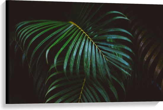 Canvas - Groene Palmbladeren - 90x60 cm Foto op Canvas Schilderij (Wanddecoratie op Canvas)