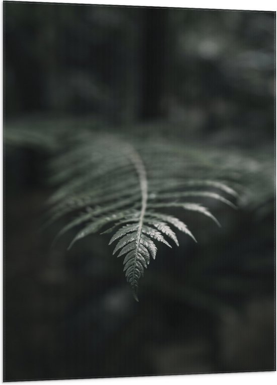Vlag - Groene Varens Plant - 70x105 cm Foto op Polyester Vlag