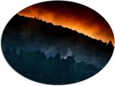 WallClassics - Dibond Ovaal - Grote Bosbrand achter Berg - 96x72 cm Foto op Ovaal (Met Ophangsysteem)
