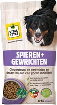 VITALstyle Hond Spieren+Gewrichten - Hondenbrokken - Voor Het Behoud Van Een Goede Mobiliteit - Met o.a. Zalmolie & Glucosamine - 12 kg