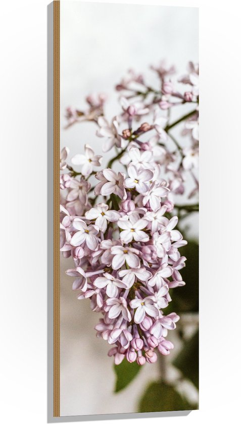 Hout - Kleine Roze met Witte Bloemen - 40x120 cm - 9 mm dik - Foto op Hout (Met Ophangsysteem)