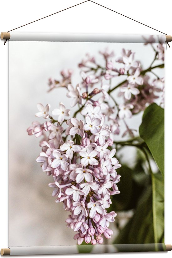 Textielposter - Kleine Roze met Witte Bloemen - 60x80 cm Foto op Textiel