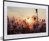 Fotolijst incl. Poster - Paardenbloem - Zonsondergang - Lente - 60x40 cm - Posterlijst