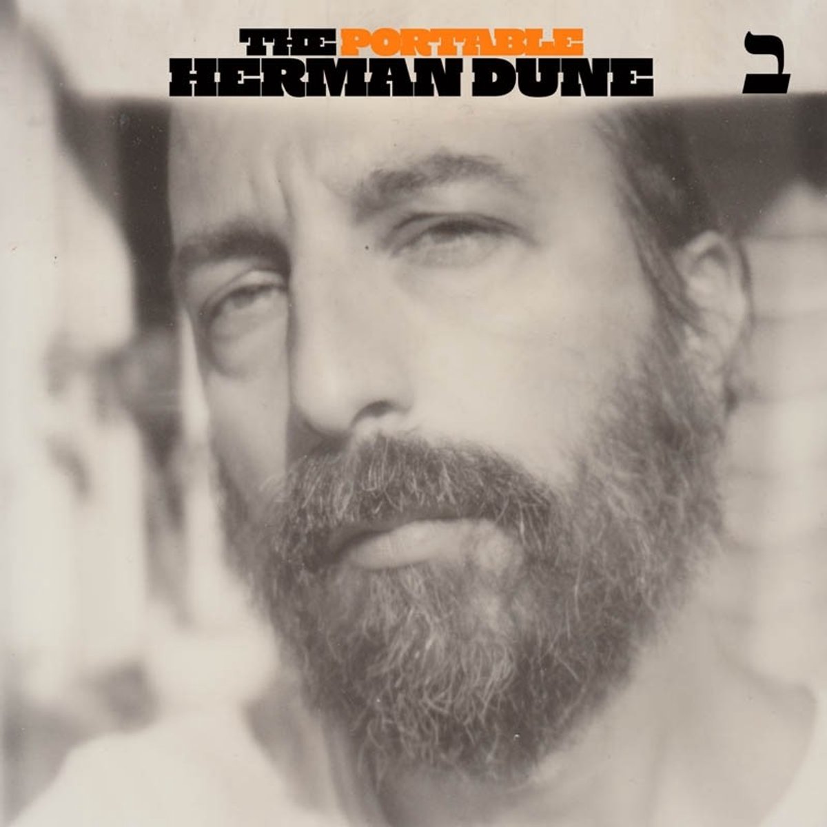 Herman Düne - The Portable Herman Dune Vol. 2 (LP) (Coloured Vinyl) (Limited Edition)