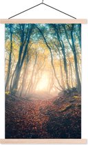 Porte-affiche avec affiche - Affiche scolaire - Forêt - Brouillard - Soleil - Automne - 40x60 cm - Lattes vierges
