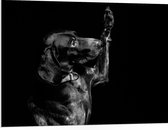 WallClassics - PVC Schuimplaat - Zwarte Hond Zegt 'Hoi' - 100x75 cm Foto op PVC Schuimplaat (Met Ophangsysteem)