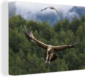 Canvas Schilderij Twee vale gieren vliegen over het bos - 160x120 cm - Wanddecoratie XXL