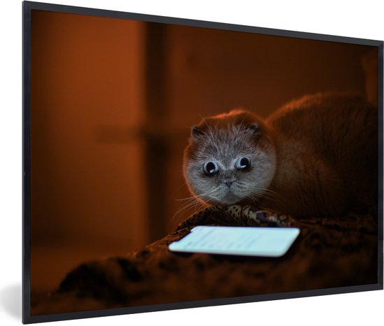 Photo encadrée - Chat comique regardant un téléphone cadre photo noir sans passe-partout 120x80 cm - Affiche encadrée (Décoration murale salon / chambre)
