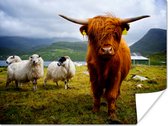 Un Highlander écossais avec ses longs cheveux roux et ses cornes Poster 40x30 cm - petit - Tirage photo sur Poster (décoration murale salon / chambre) / Poster Animaux sauvages