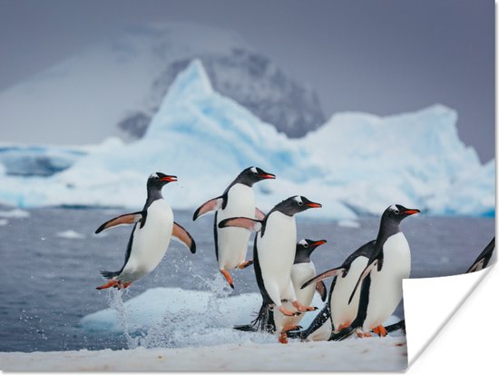 Poster Pinguïns springen uit het water - 120x90 cm