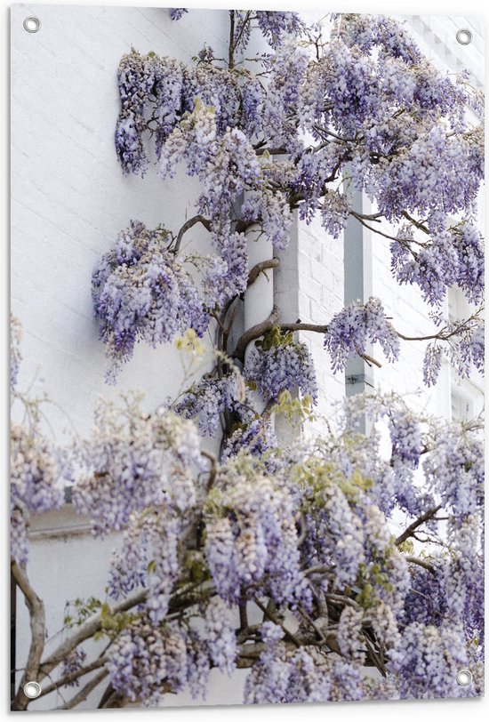WallClassics - Tuinposter – Wit met Paarse Bloemen Plant - 60x80 cm Foto op Tuinposter (wanddecoratie voor buiten en binnen)