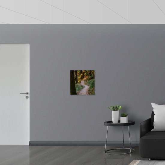 WallClassics - Poster Glossy - Sentier de randonnée dans les bois - 50x50 cm Photo sur Papier Poster avec Finition Brillante