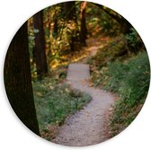 WallClassics - Cercle mural en panneau de mousse PVC - Sentier pédestre en forêt - Photo 60x60 cm sur cercle mural (avec système d'accrochage)
