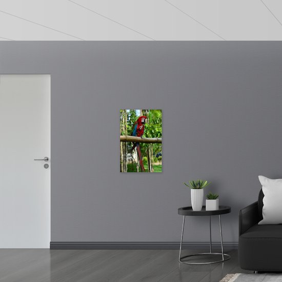 WallClassics - Dibond - Rode Ara Papegaai op een Tak - 50x75 cm Foto op Aluminium (Wanddecoratie van metaal)