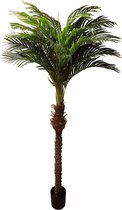 Kunst palmboom Hawaii - Grote Namaak Palmboom - 220cm hoog