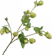 Silk-ka Kunstbloem-Zijden Bloemen Hop Tak Groen 77 cm
