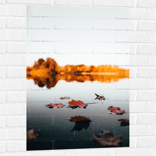 WallClassics - Muursticker - Herfstbladeren op het Water omringd door Bomen - 60x90 cm Foto op Muursticker