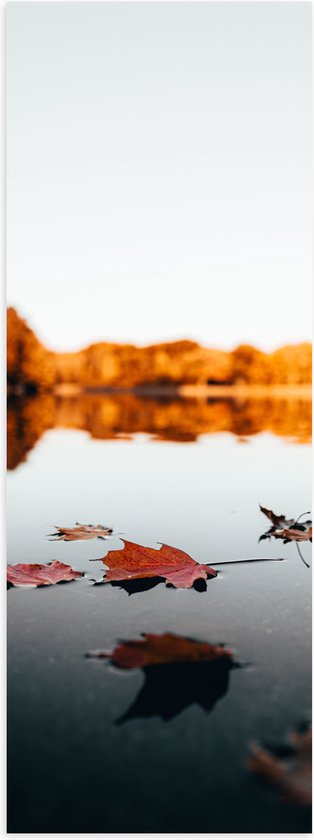 WallClassics - Poster Glanzend – Herfstbladeren op het Water omringd door Bomen - 20x60 cm Foto op Posterpapier met Glanzende Afwerking