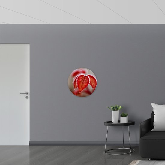 WallClassics - Cercle mural Dibond - Feuilles d'automne rouges gelées - Photo 60x60 cm sur cercle mural en aluminium (avec système de suspension)