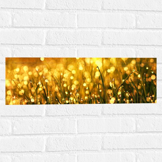 Muursticker - Gras met Gouden Waterdruppels - 60x20 cm Foto op Muursticker