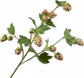 Silk-ka Kunstbloem-Zijden Bloemen Hop Tak Lila-Groen 77 cm