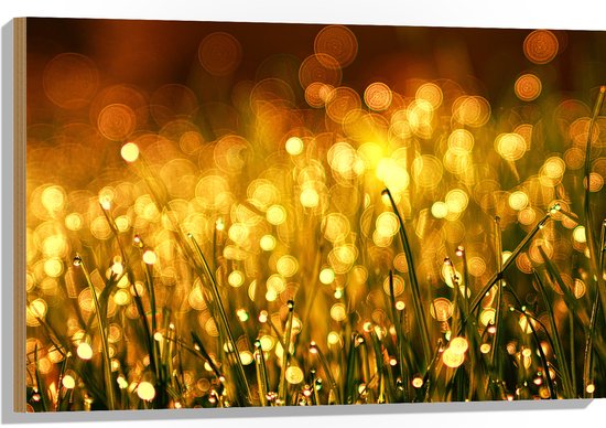 Hout - Gras met Gouden Waterdruppels - 90x60 cm - 9 mm dik - Foto op Hout (Met Ophangsysteem)
