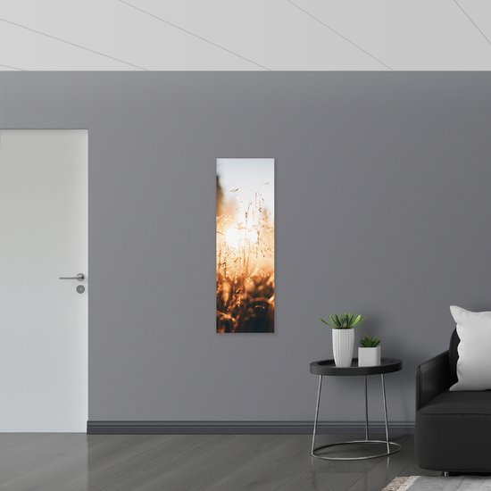 WallClassics - Plaque de Mousse PVC - La Lumière du Soleil à travers les Herbes Sèches - Photo 40x120 cm sur Plaque de Mousse PVC (Avec Système d'accrochage)