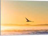 WallClassics - Dibond - Toit volant à travers les rayons du soleil sur la mer - 80x60 cm Photo sur Aluminium (Décoration murale en métal)