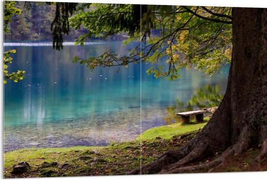 WallClassics - Verre Acrylique - Banc au bord de l' Water chez un vieux grand arbre - 120x80 cm Photo sur verre acrylique (Décoration murale sur acrylique)