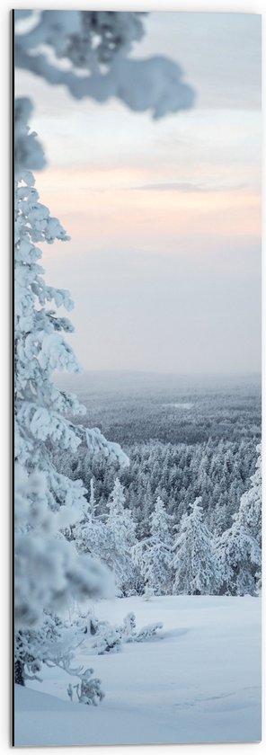 WallClassics - Dibond - Uitzicht over Wit Sneeuwlandschap - 30x90 cm Foto op Aluminium (Wanddecoratie van metaal)