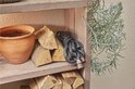 Opgerolde grijze tuinslang met oranje koppelingen op houten plank, naast pot en houtblokken.