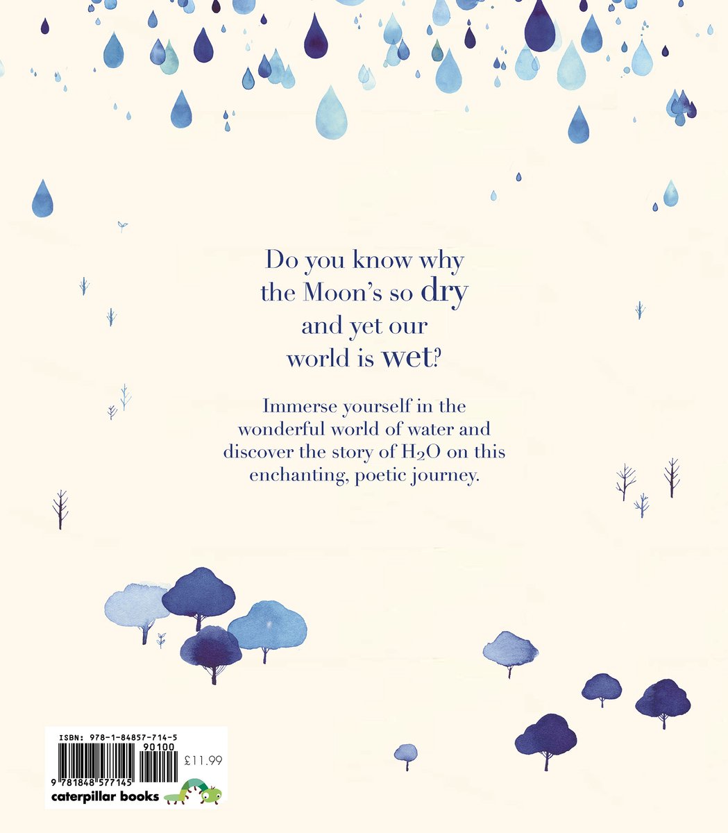 Once Upon a Raindrop - back cover