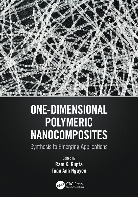 One-Dimensional Polymeric Nanocomposites - cover