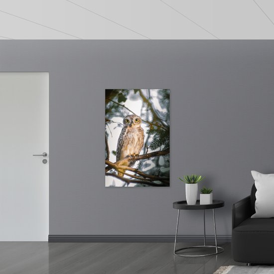 WallClassics - Panneau de mousse PVC - Chouette brahminy sur une branche étroite avec Plantes - Photo 80 x 120 cm sur panneau de mousse PVC (avec système de suspension)