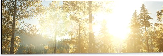 Dibond - Felle Zonneschijn door Groene Bergen in een Bos - 90x30 cm Foto op Aluminium (Wanddecoratie van metaal)